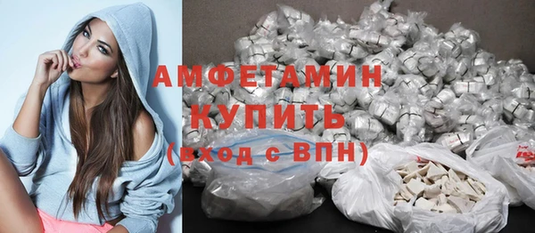 стафф Новозыбков