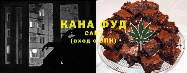 хмурый Алексин