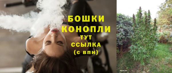 ПСИЛОЦИБИНОВЫЕ ГРИБЫ Новокубанск