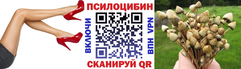 kraken tor  дарнет шоп  Ряжск  Псилоцибиновые грибы прущие грибы 